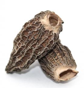 dry morchella mushroom