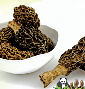 morchella sec, morilles sèches