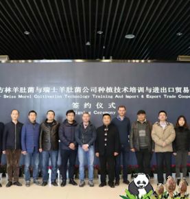 International academic exchange