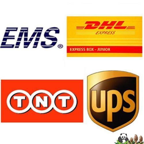 express_courier_service_dhl_ups_tnt_fedex_ems.jpg