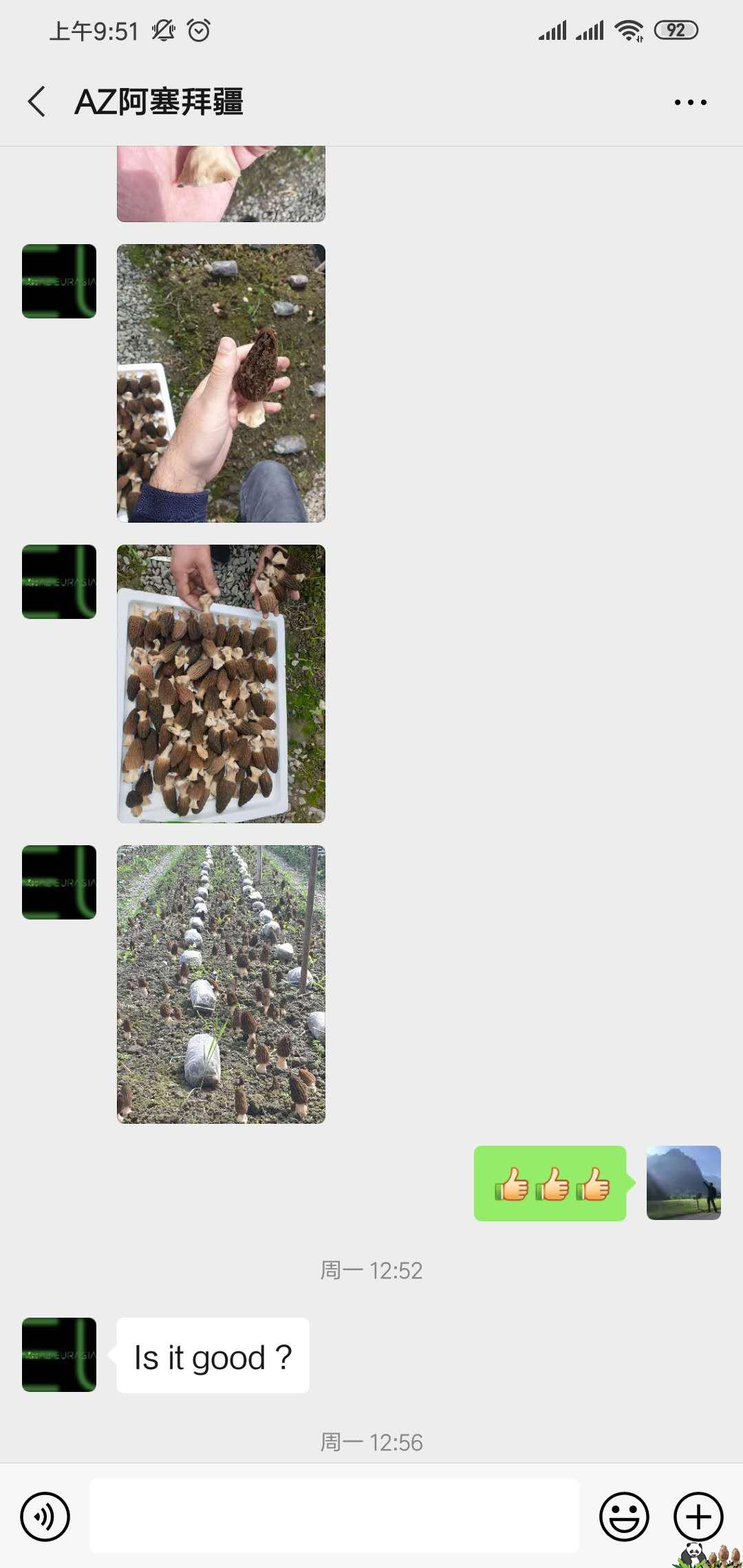 1586310738555789.jpg