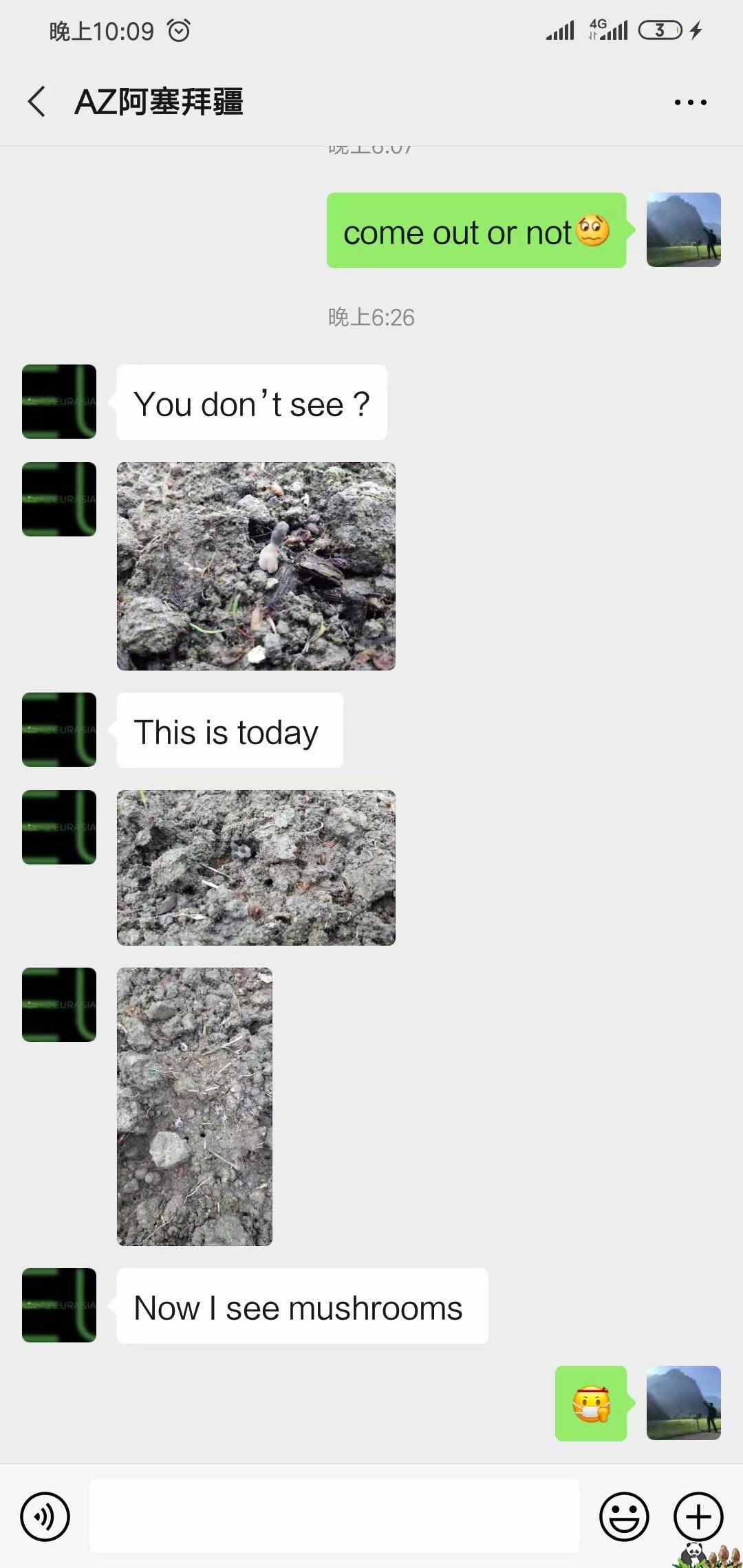 1586311384928177.jpg