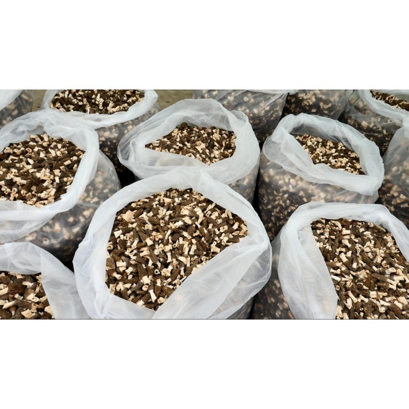 Premium Selected Morel Cap Display / 严选蜂窝帽特级羊肚菌