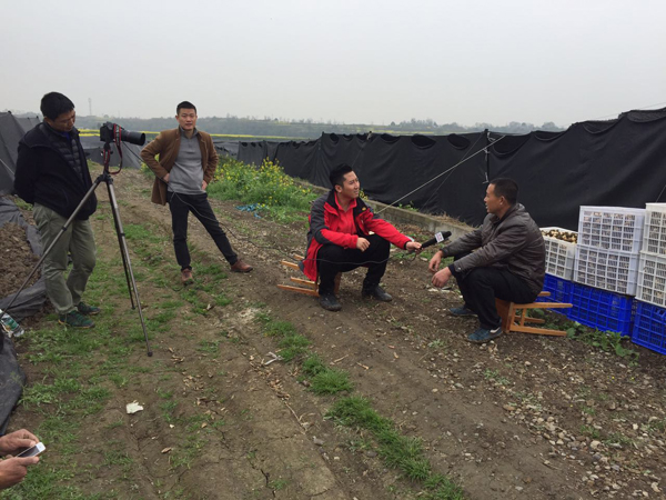 CCTV-7 Agricultural Channel Special Report