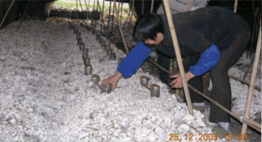 Technical Services & Training photo