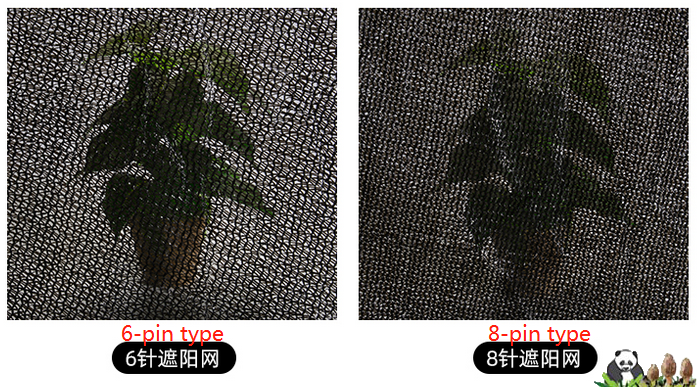 Cultivation Materials, Spawn & Nets photo
